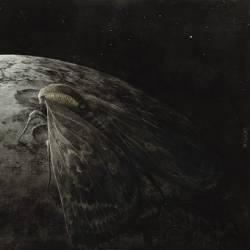 Augrimmer : Moth and the Moon